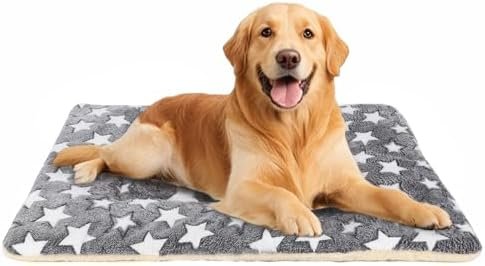 Dog Beds — product photo