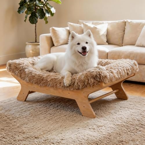 Dog Beds — product photo