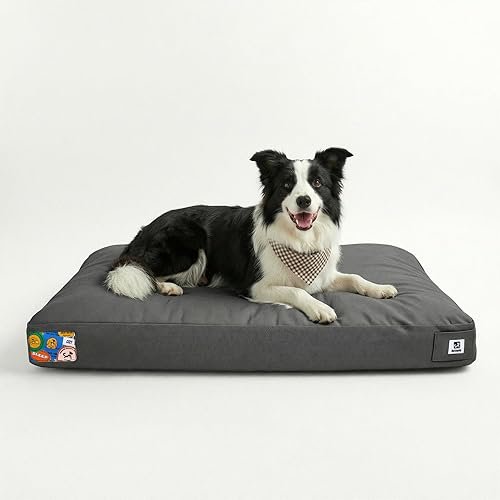 Dog Beds — product photo