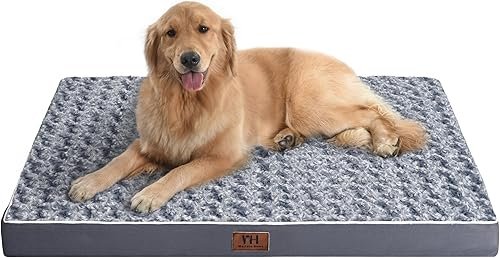 Dog Beds — product photo