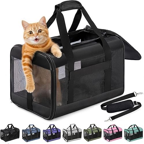 Pet Carriers And Travel — product photo