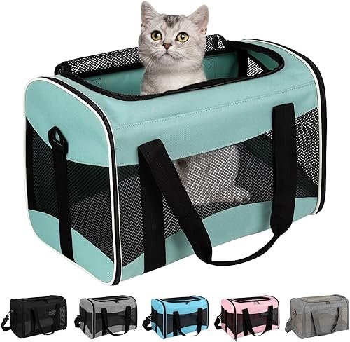 Pet Carriers And Travel — product photo