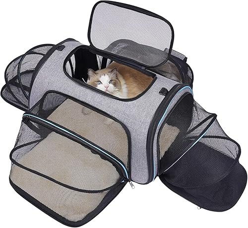 Pet Carriers And Travel — product photo