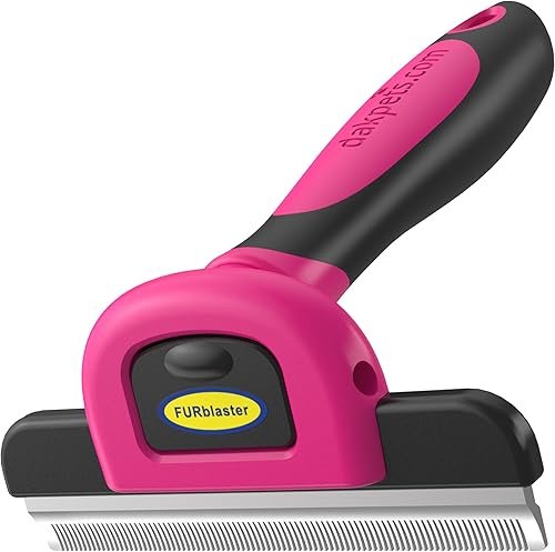 Pet Grooming — product photo