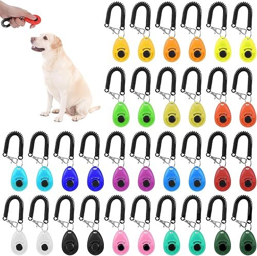 Pet Training — product photo