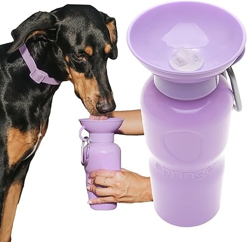 Pet Training — product photo